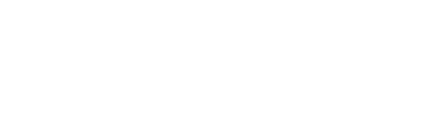 Logo signature de base Patrick Salamone.