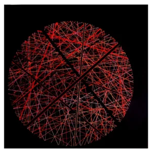 Pulsation Intense de Patrick Salamone.