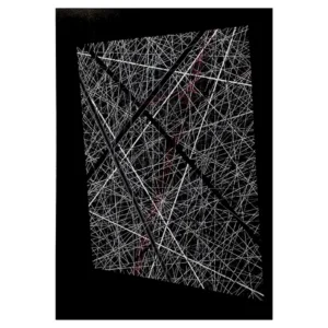 Trajectoire Émergente de Patrick Salamone.